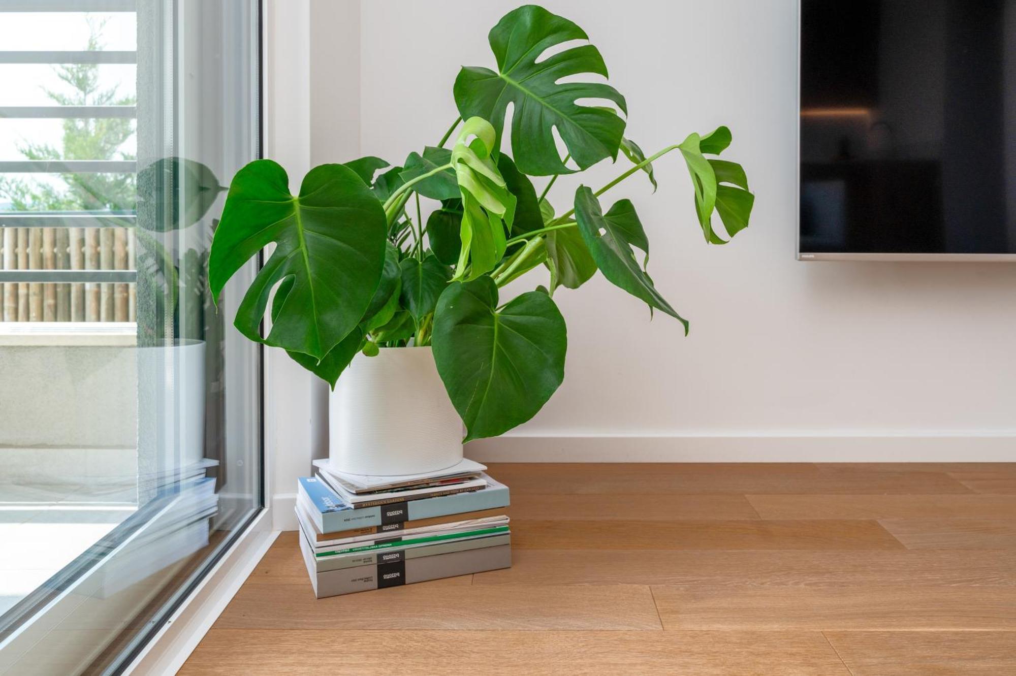 Sun Oliver Apartment *